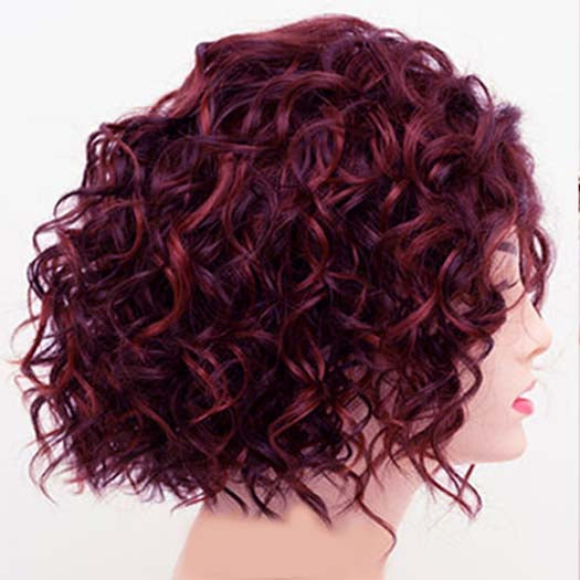 9*14 Premium Curly Mono Base Wig Toppers Human Hair for Women