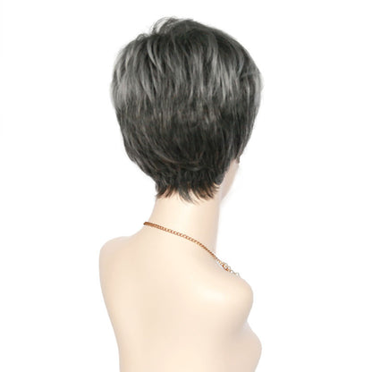 Salt Pepper Short Wigs for Women Pixie Cut Wigs Natural Layered Hair