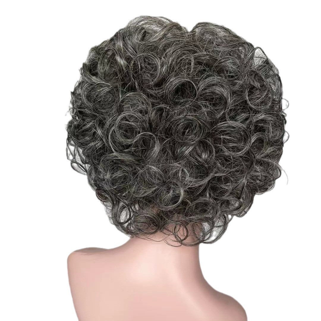 Salt Pepper Wavy Curly Human Hair Wigs for Women