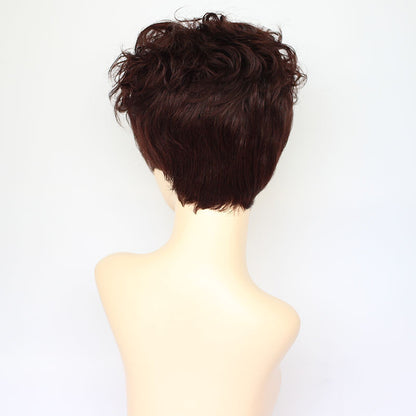 Fashion Wavy Curly Human Hair Wigs for Women