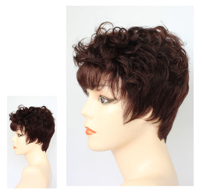 Fashion Wavy Curly Human Hair Wigs for Women