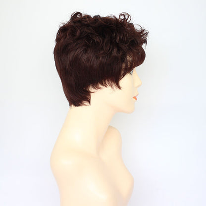 Fashion Wavy Curly Human Hair Wigs for Women