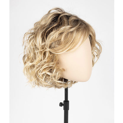 Hot Short Wavy Curly Clip in Hair Topper