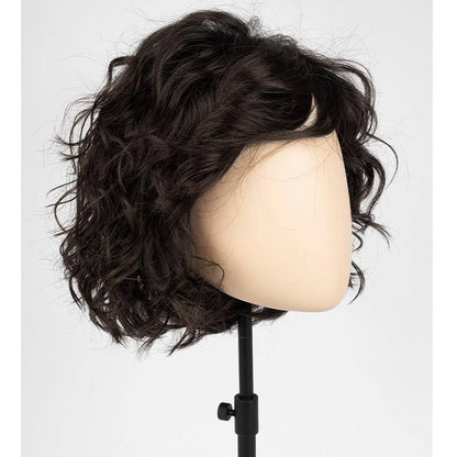 Hot Short Wavy Curly Clip in Hair Topper